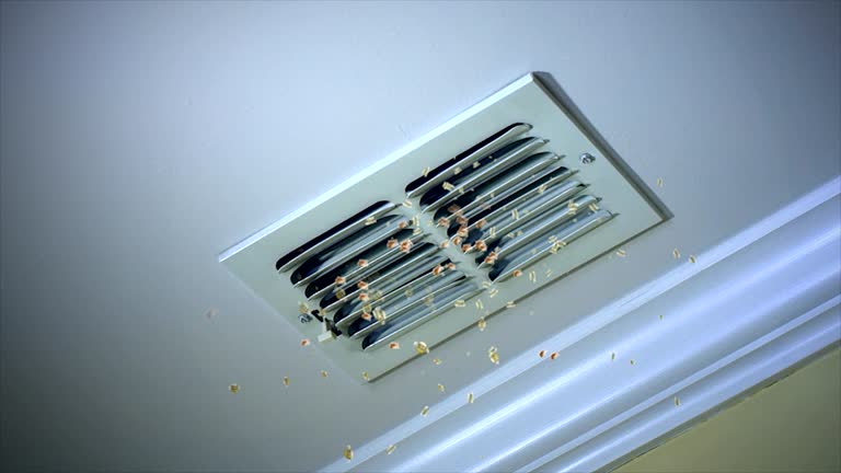 Best Air Duct Cleaning Near Me  in Tatamy, PA