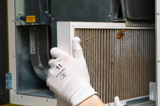 Best Dryer Vent Cleaning Services  in Tatamy, PA